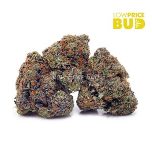 Buy Build Your Own Oz 8 x 3.5g online Canada
