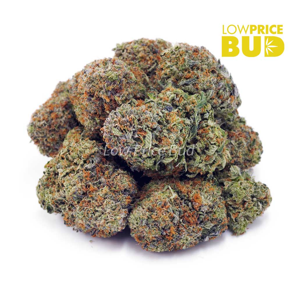 Buy Blueberry Haze (AAA) online Canada