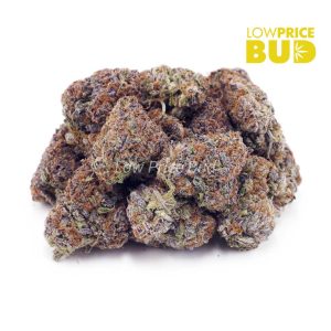 Buy Georgia Pie (AAAA) online Canada