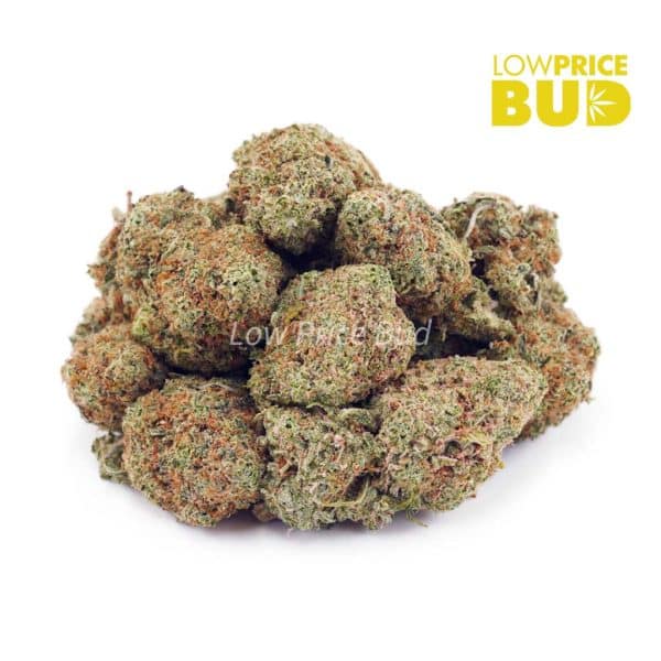 Buy Kush Mintz (AAA) online Canada