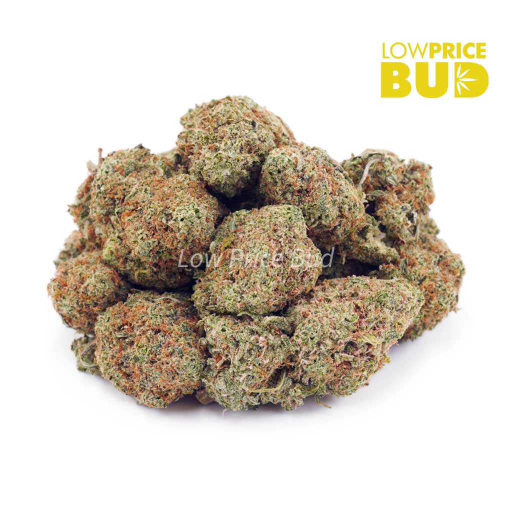 Buy Kush Mintz (AAA) online Canada