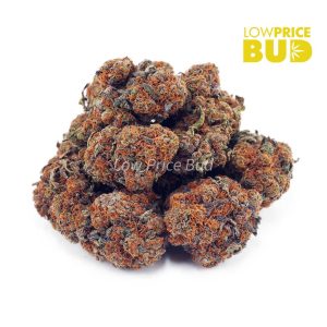 Buy Bubble Gum Kush (AAA) online Canada