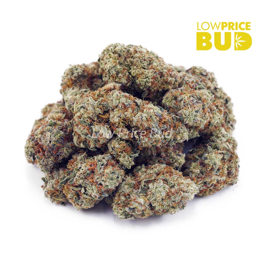 Buy Master Yoda (AAA) online Canada