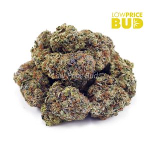 Buy OG Kush (AAA) online Canada