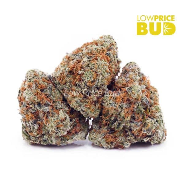 Buy Vanilla Cake (AAA) online Canada