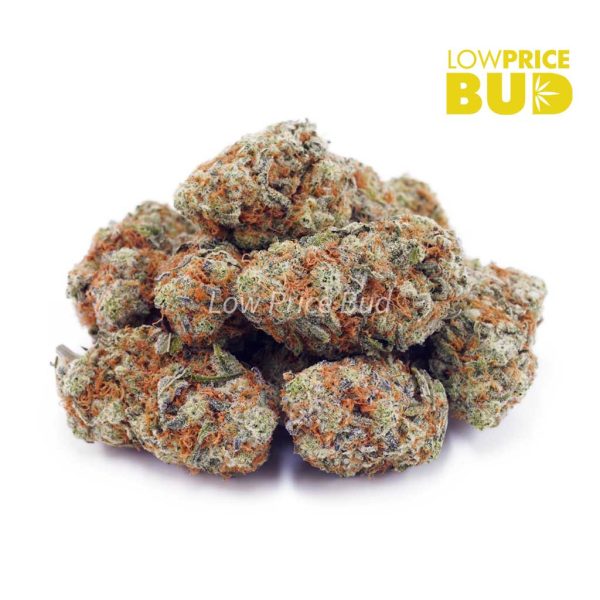 Buy Vanilla Cake (AAA) online Canada
