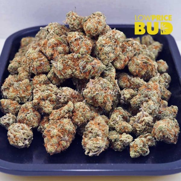 Buy Vanilla Cake (AAA) online Canada