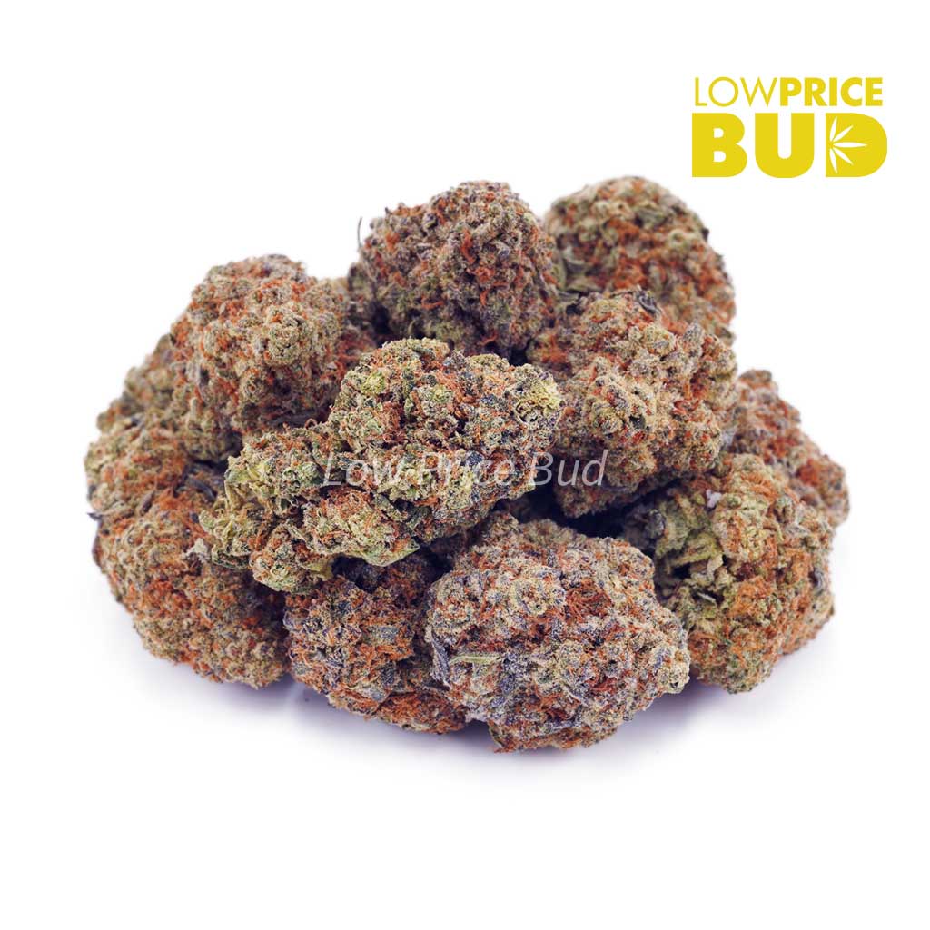 Buy King’s Candy (AAAA) online Canada