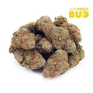 Buy Orange Soda (AA) online Canada