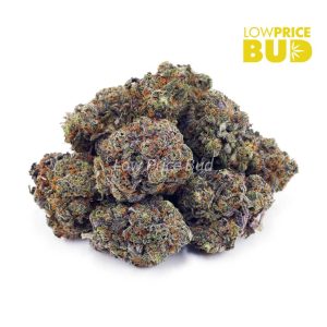 Buy Fucking Incredible (Craft Cannabis) online Canada