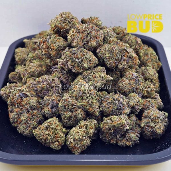 Buy Fucking Incredible (Craft Cannabis) online Canada