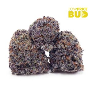 Buy Blueberry Lemonade (AAAA) online Canada