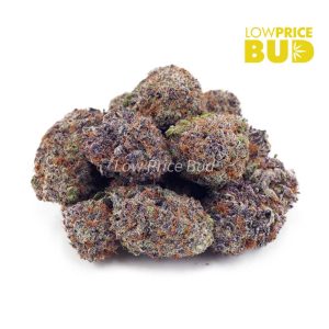 Buy Blueberry Lemonade (AAAA) online Canada