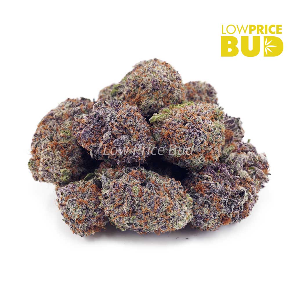 Buy Blueberry Lemonade (AAAA) online Canada