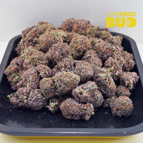 Buy Blueberry Lemonade (AAAA) online Canada