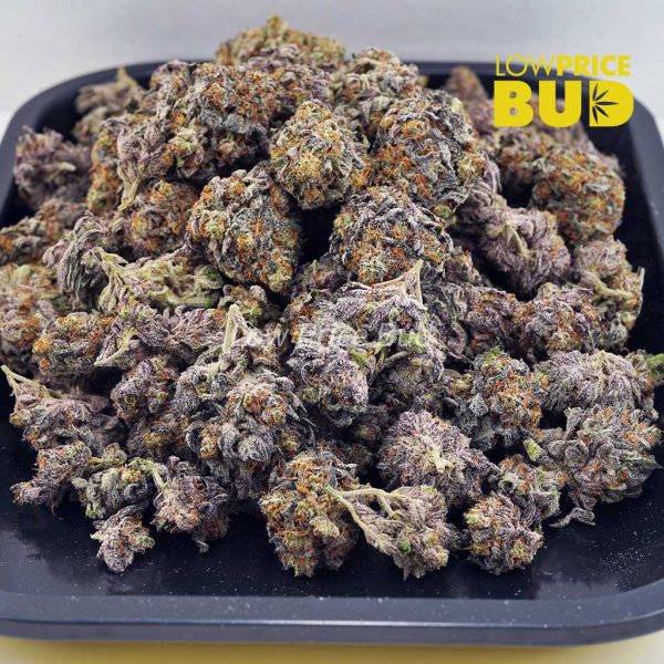 Buy Darth Vader (AAAA) online Canada