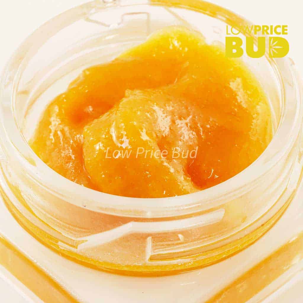 Live Resin – Master Kush Ultra Buy Live Resin – Master Kush Ultra online Canada