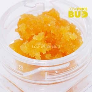 Caviar – Northern Lights Buy Caviar – Northern Lights online Canada