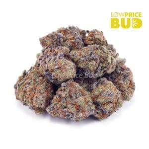 Buy Strawberry Shortcake (AAA) online Canada