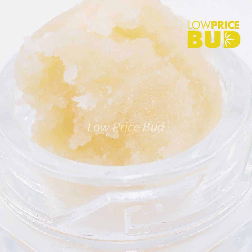 Caviar – Forum Cut Cookies Buy Caviar – Forum Cut Cookies online Canada