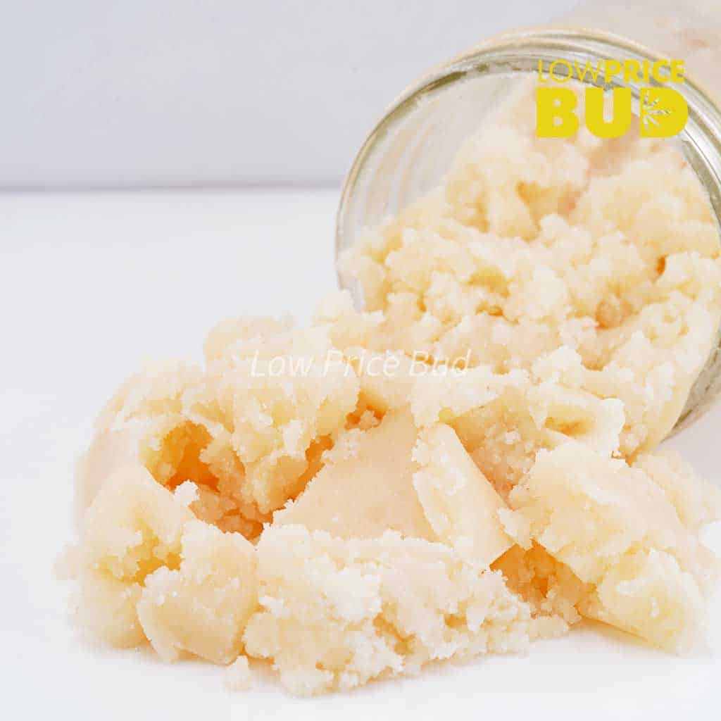 Caviar – Forum Cut Cookies Buy Caviar – Forum Cut Cookies online Canada
