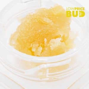 Buy Caviar – Tuna Kush online Canada