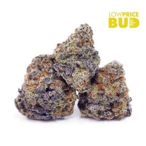 Buy Build Your Own (AAAA) Pound 4 x 112g online Canada