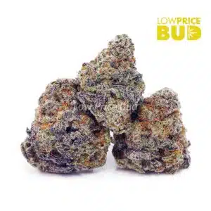 Buy Vanilla Cake (AAA) online Canada