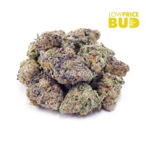 Vanilla Cake (AAA) Buy Vanilla Cake (AAA) online Canada