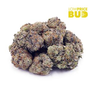 Buy Khalifa Mintz (AAA) online Canada