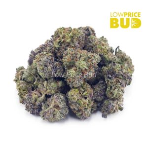 Pink Bubba (AAAA) – Popcorn Nugs Buy Pink Bubba (AAAA) – Popcorn Nugs online Canada