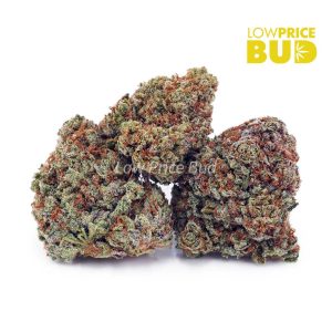Buy Build Your Own (AAA) Quarter Pound online Canada
