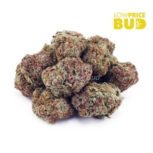 Buy Kush Mintz (AAA) online Canada