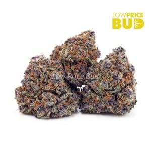 Buy Build Your Own Half Oz online Canada
