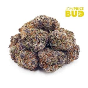 Purple OG (AAAA) Buy Purple OG (AAAA) online Canada