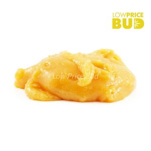 Buy Caviar – Forum Cut Cookies online Canada