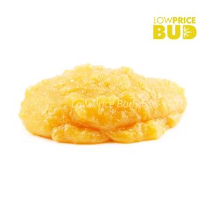 Buy Caviar – Grape Ape online Canada