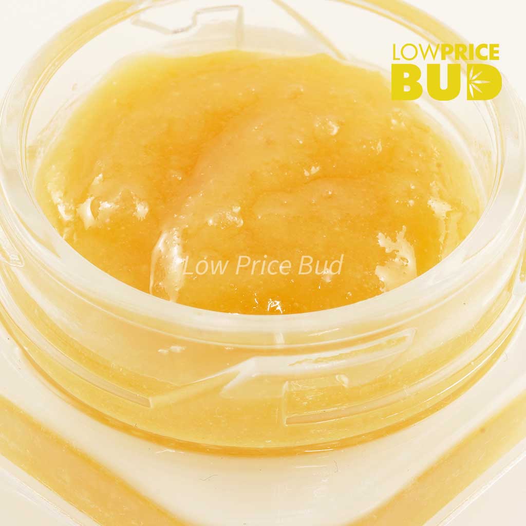 Buy Caviar – Forum Cut Cookies online Canada