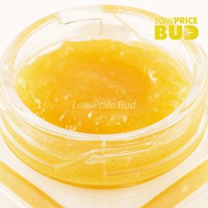 Buy Caviar – Lemon Kush online Canada