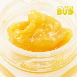 Buy Caviar – Tom Ford Pink Kush online Canada