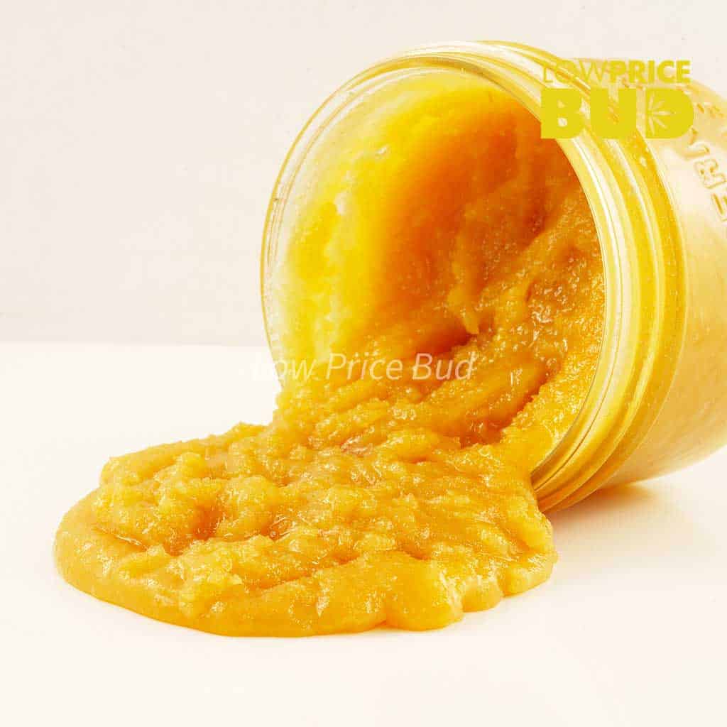 Caviar – Tuna Kush Buy Caviar – Tuna Kush online Canada