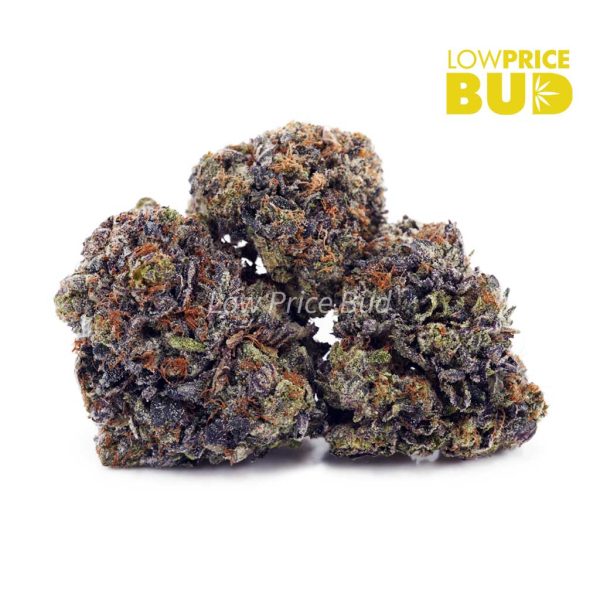 Buy Death Pink (AAAA) online Canada