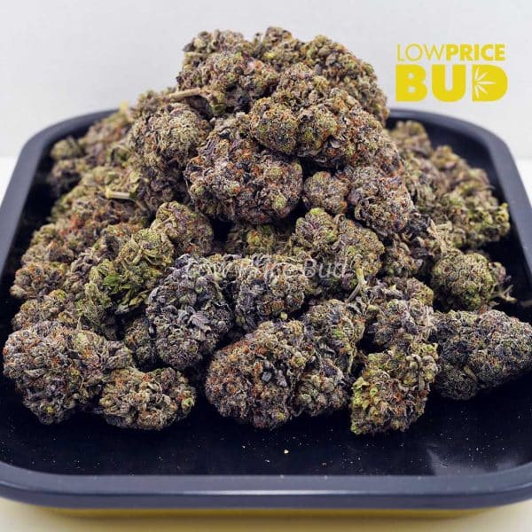 Buy Death Pink (AAAA) online Canada