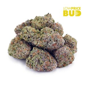 Buy Funky Charmz (AAAA) online Canada