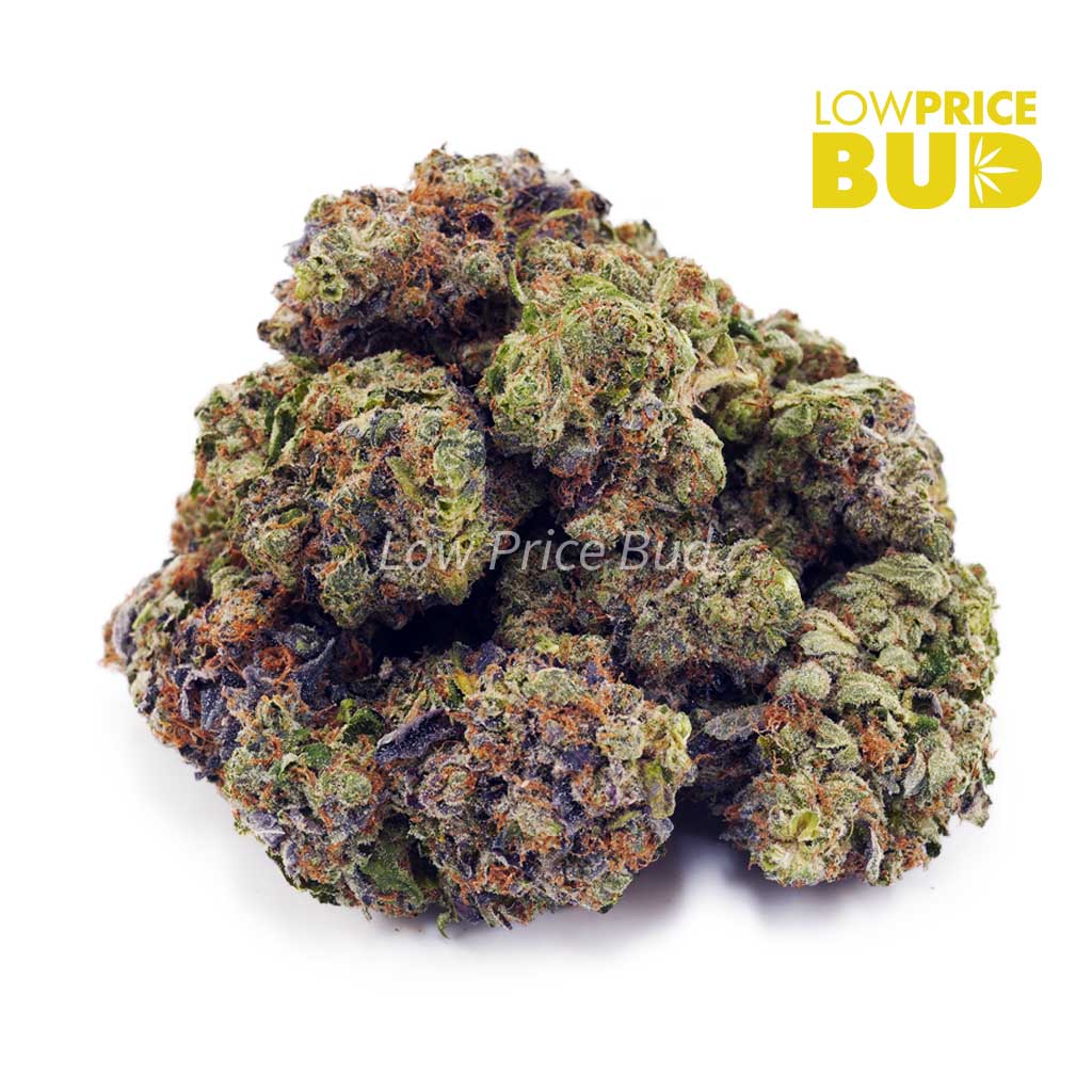 Buy El Diablo (AAAA) online Canada