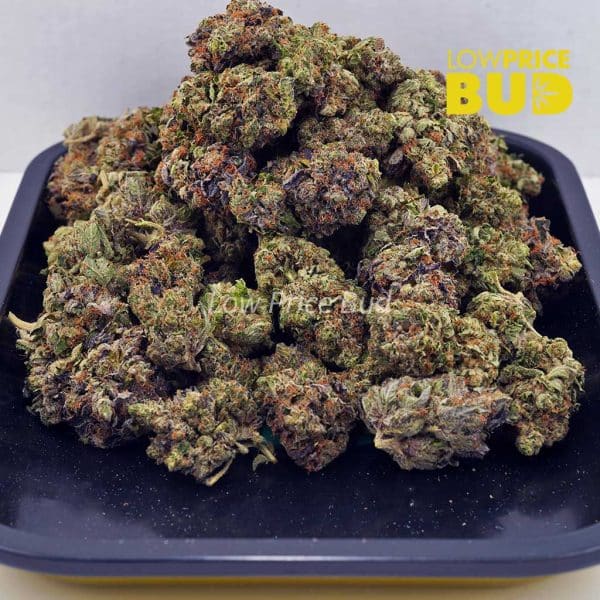 Buy El Diablo (AAAA) online Canada