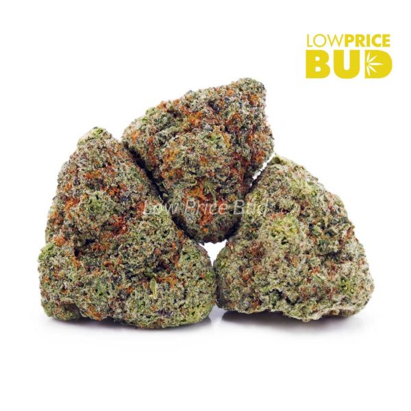 Buy King Louis XIII (AAA) online Canada