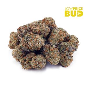 Buy Blackberry Kush (AAA) online Canada