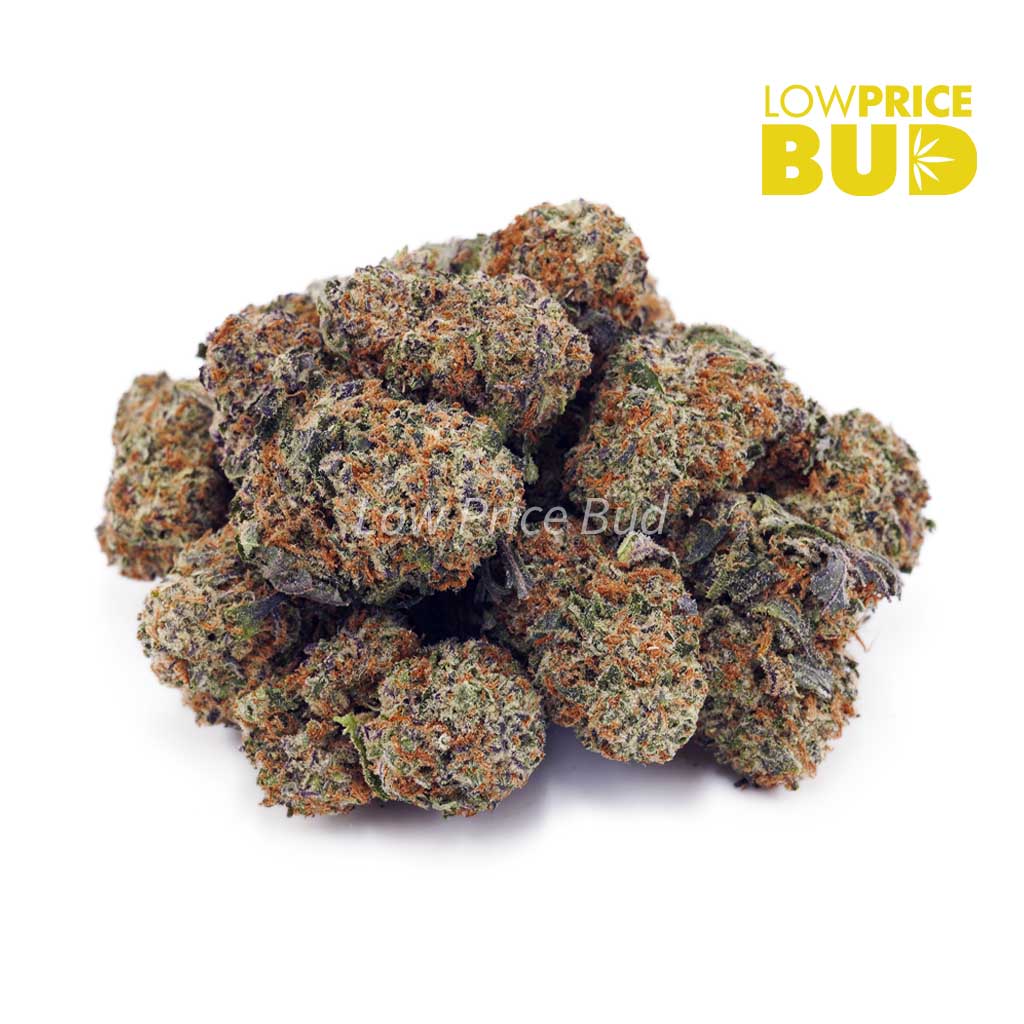 Buy Blackberry Kush (AAA) online Canada