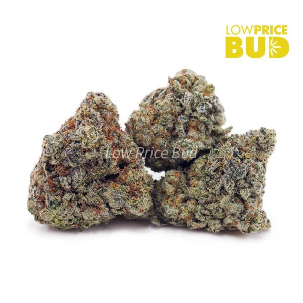 Buy Blue Dream (AAA) online Canada